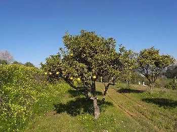 Herdade Dos Frades Лагуш